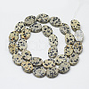 Natural Dalmatian Jasper Beads Strands G-T122-04J-2