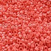 Baking Paint Glass Seed Beads SEED-S042-05A-31-3