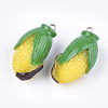 Resin Pendants X-RESI-T028-50-2