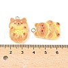 Cute Resin Pendants RESI-V005-005-4