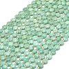 Natural Amazonite Beads Strands G-C116-A39-02-2
