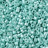 Baking Paint Glass Seed Beads X-SEED-S042-15A-09-3