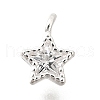 925 Sterling Silver Cubic Zirconia Charms STER-Q005-01B-A-1