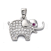 Brass Micro Pave Cubic Zirconia Pendants KK-V009-29G-1