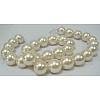 Shell Pearl Beads Strands SP10MM205-1