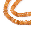 Natural Freshwater Shell Beads Strands SHEL-S278-067F-3