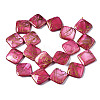 Natural Freshwater Shell Beads Strands SHEL-N026-154-2