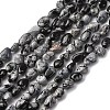 Natural Snowflake Obsidian Beads Strands G-K395-A04-01-2