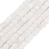 Natural Rainbow Moonstone Beads Strands G-H042-A02-02-2