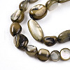 Natural White Shell Beads Strands SHEL-N036-21-4