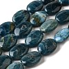 Natural Apatite Beads Strands G-Q026-A01-03-1
