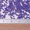 MIYUKI Delica Beads Small X-SEED-J020-DBS0880-4