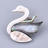 Shell Brooches/Pendants SHEL-S275-73-2