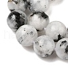 Natural Rainbow Moonstone Beads Strands G-Q1001-A05-03-01-5