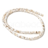 Natural Freshwater Shell Beads Strands SSHEL-C013-04A-2