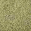 TOHO Round Seed Beads SEED-XTR08-PF0559-2