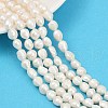 Natural Cultured Freshwater Pearl Beads Strands PEAR-P064-20C-01A-1