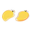 Translucent Acrylic Pendants TACR-N013-013-3