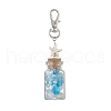 2Pcs Glass Wishing Bottle inside Lampwork & Glass Seed Beads Pendant Decorations HJEW-JM03259-4