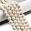 Natural Fossil Beads Strands G-H026-02A-2