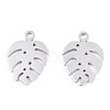 304 Stainless Steel Charms STAS-S107-05P-1