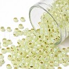 TOHO Round Seed Beads SEED-JPTR08-PF2109-1