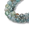 Natural Apatite Beads Strands G-G161-A11-03A-4