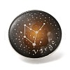 Twelve Constellation Creative Alloy Badges Constellation Brooches JEWB-S033-01P-F-1