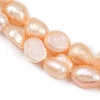 Natural Cultured Freshwater Pearl Beads Strands PEAR-P064-20I-03B-02-4