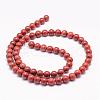 Natural Red Jasper Bead Strands G-K153-B19-12mm-2