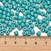 Baking Paint Pearlized Glass Seed Beads SEED-C001-04A-06-4