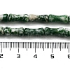 Natural Green Spot Jasper Beads Strands G-Q178-A15-01-5