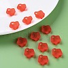 Transparent Acrylic Beads MACR-S373-106-D01-6