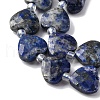 Natural Lapis Lazuli Beads Strands G-P570-E12-01-4