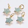 Brass Micro Pave Cubic Zirconia Charms X-RB-I077-21G-RS-1