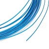 5M Aluminum Wire AW-H001-04E-2