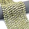 Natural Alashan Agate Beads Strands G-C116-A52-02-1