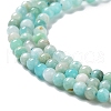 Natural Amazonite Beads Strands G-J400-D01-01-4