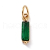 304 Stainless Steel Cubic Zirconia Pendants STAS-E487-21G-06-1