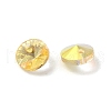 Glass Charms RGLA-L026-A24-2