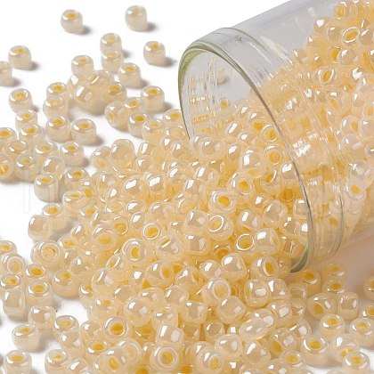 TOHO Round Seed Beads X-SEED-TR08-0901-1