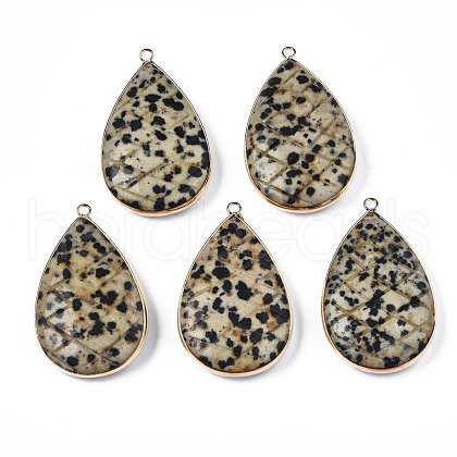 Natural Dalmatian Jasper Pendants G-N326-108B-1