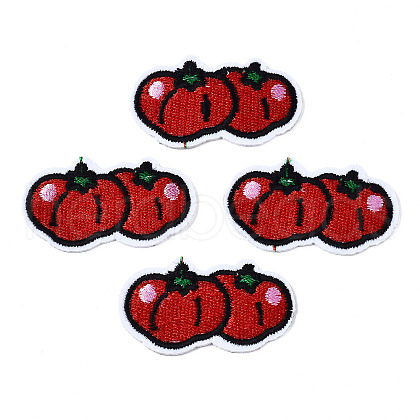 Computerized Embroidery Cloth Iron On/Sew On Patches AJEW-T005-06-1