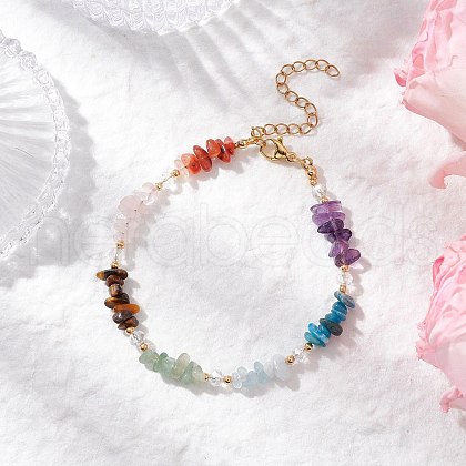 Chakra Natural Rose Quartz & Amethyst & Apatite & Aquamarine & Green Aventurine & Tiger Eye & Carnelian Chip Beaded Bracelets for Women BJEW-JB11740-02-1