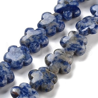 Natural Blue Spot Jasper Beads Strands G-F769-D01-01-1