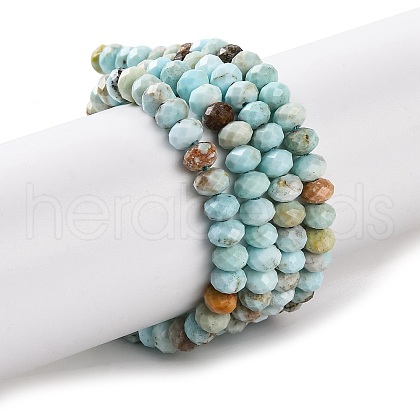 Natural Howlite Beads Strands X-G-H025-03C-09-1