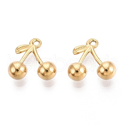 304 Stainless Steel Charms STAS-N108-48G-1