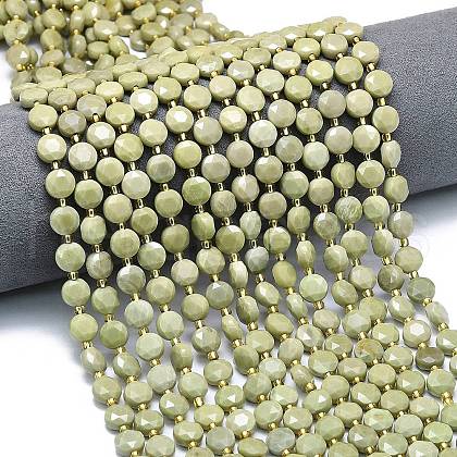 Natural Alashan Agate Beads Strands G-C116-A52-02-1