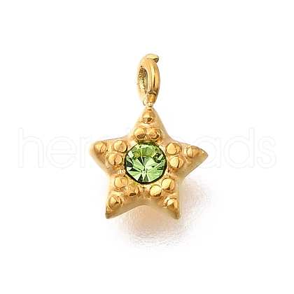 304 Stainless Steel Charms STAS-R159-58G-02-1