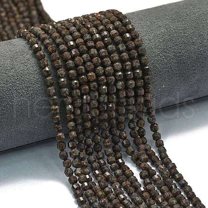 Natural Red Snowflake Obsidian Beads Strands G-A260-A14-01-1
